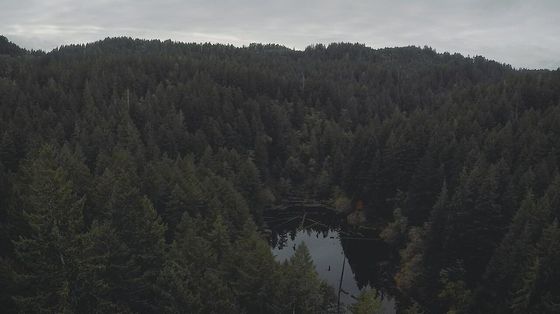 Fuente de agua natural en la naturaleza