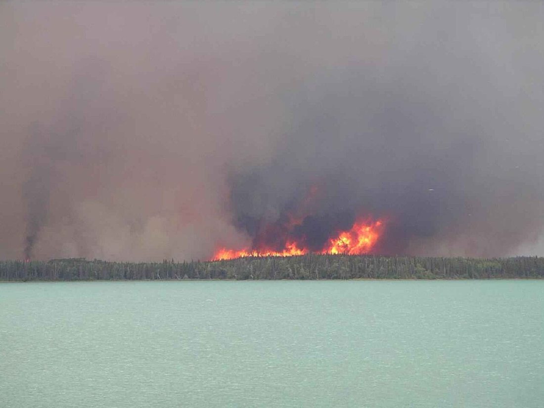 Llamas de un incendio forestal